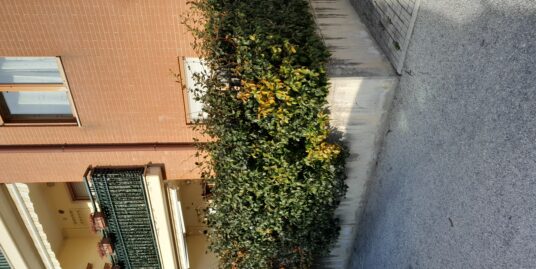 Appartamento in via Roma Mirabello Sannitico.