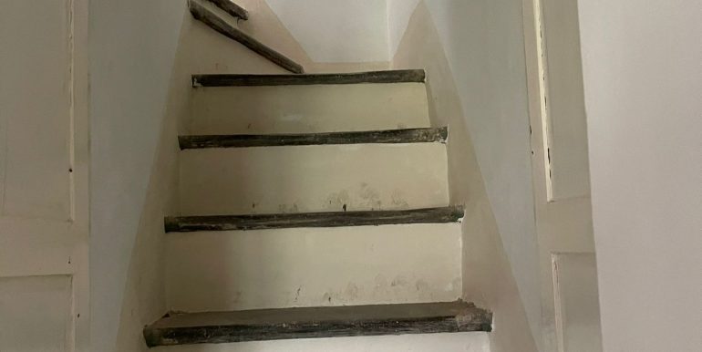 IMG-20210830-WA0016