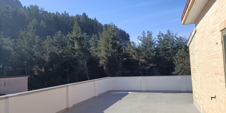 IMG20220315092934