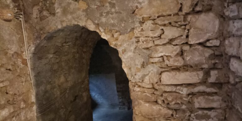 IMG20230905114449