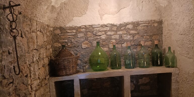 IMG20230905114731