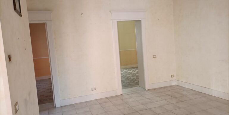 IMG-20221117-WA0053