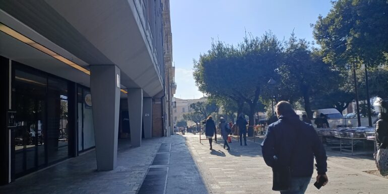 IMG20240202110619