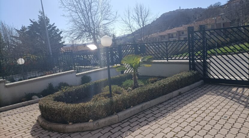 IMG20240227101132