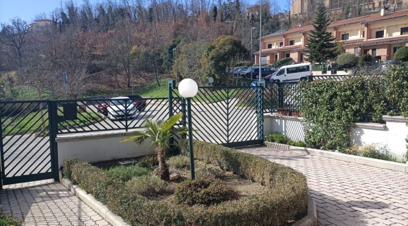 IMG20240227101149