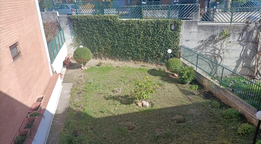 IMG20240227102122