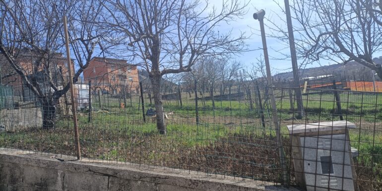 IMG20240315122546