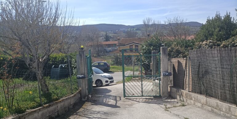 IMG20240315122549