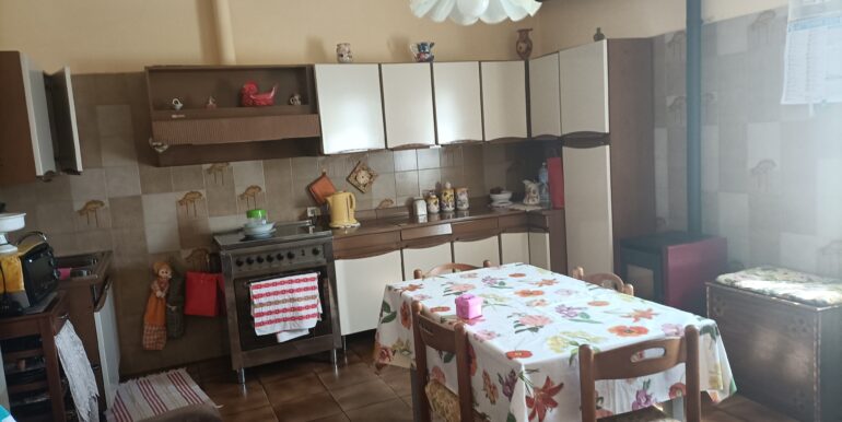 IMG20240315122654