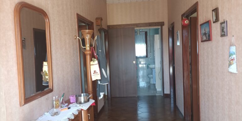 IMG20240315123112