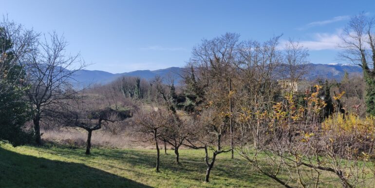 IMG_20191227_110057