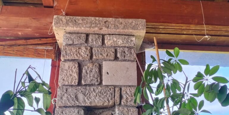 IMG-20250316-WA0012