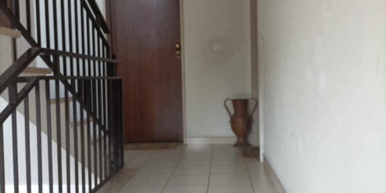 IMG20250321162026